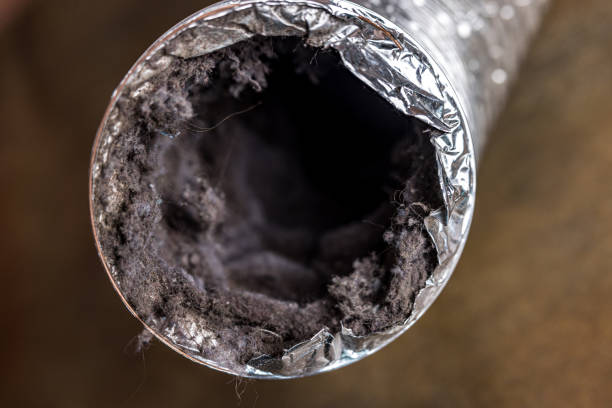 Best Duct Cleaning for Offices  in Garden Ridge, TX